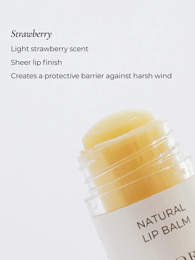 Natural Lip Balm | Dry Lips Treatment - Image 5
